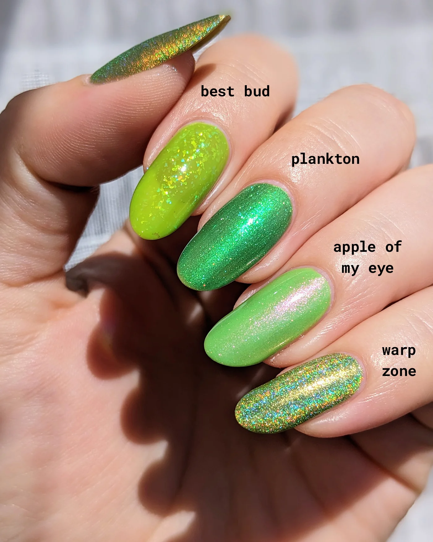 Plankton - Image 9